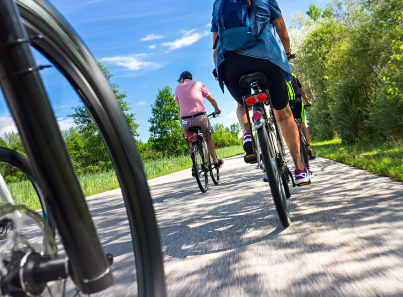 Vacanza in bici